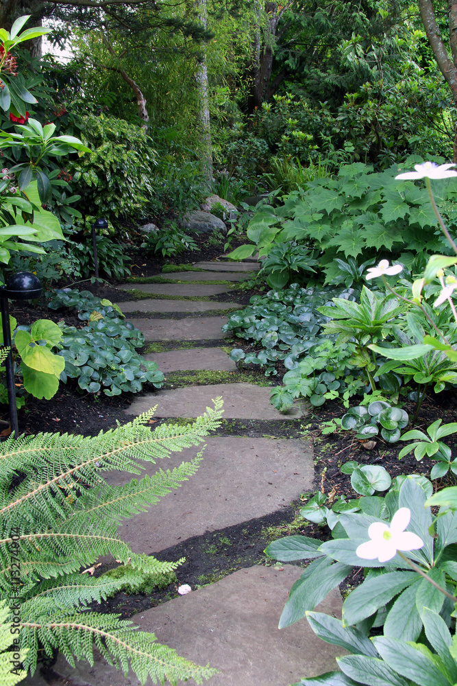 Shady garden path lined with perennials. 