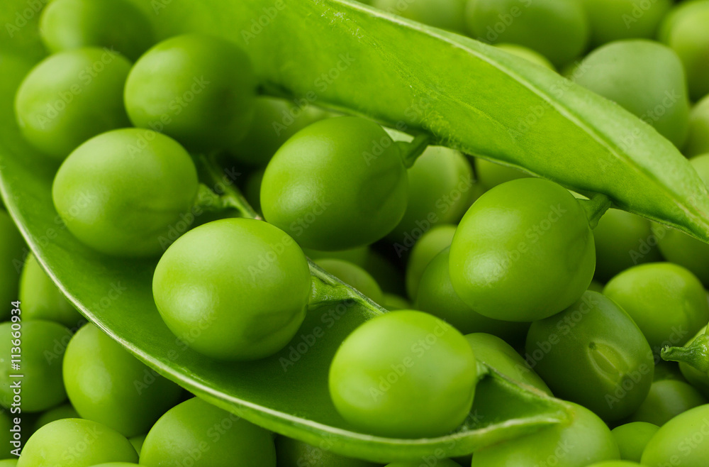 白豌豆