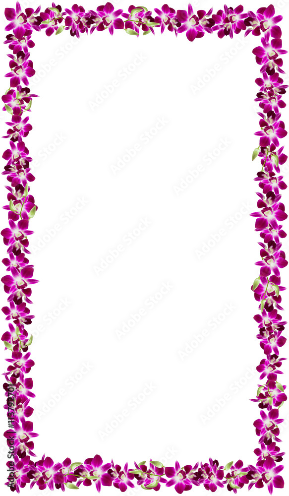  Beautiful orchid flower frame on white background.