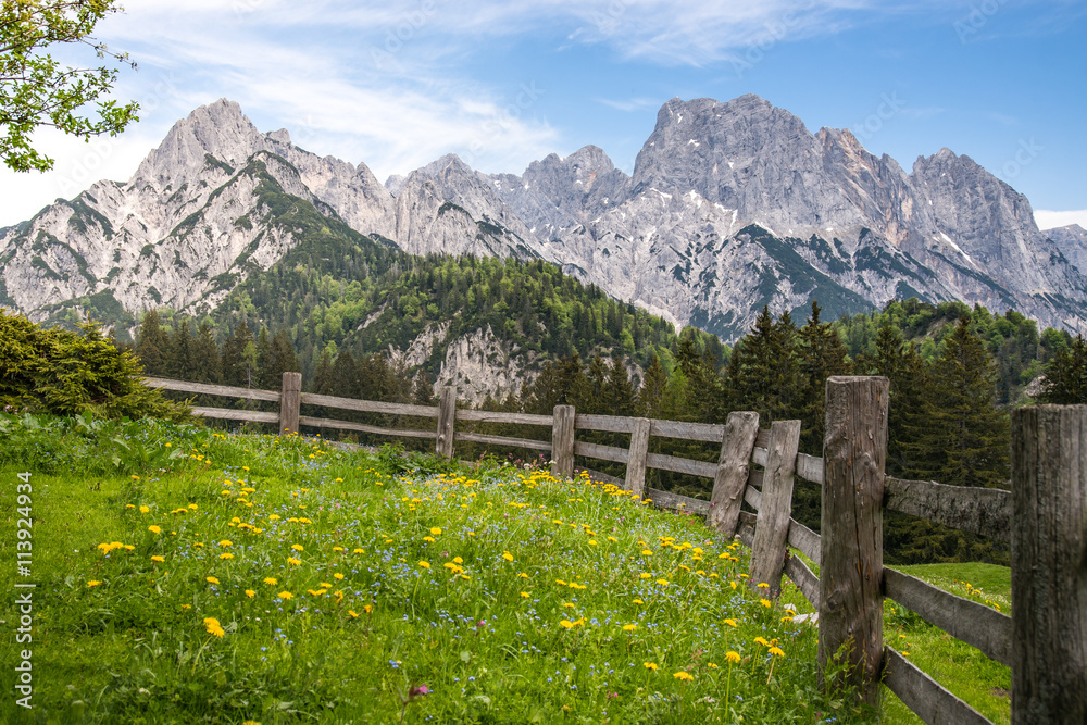 奥地利，带田园诗般山脉的木栅栏