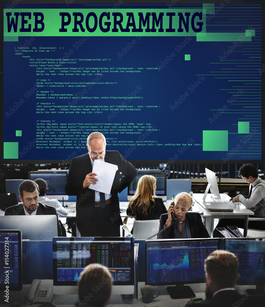 Web编程软件开发人员技术概念