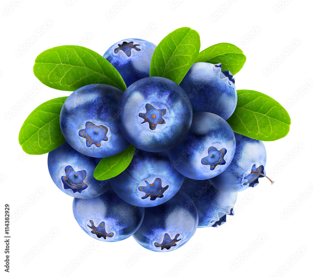 隔离蓝莓
