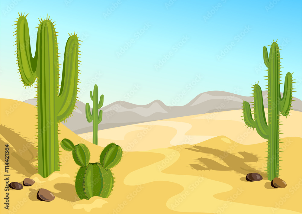 沙漠中的仙人掌。自然背景