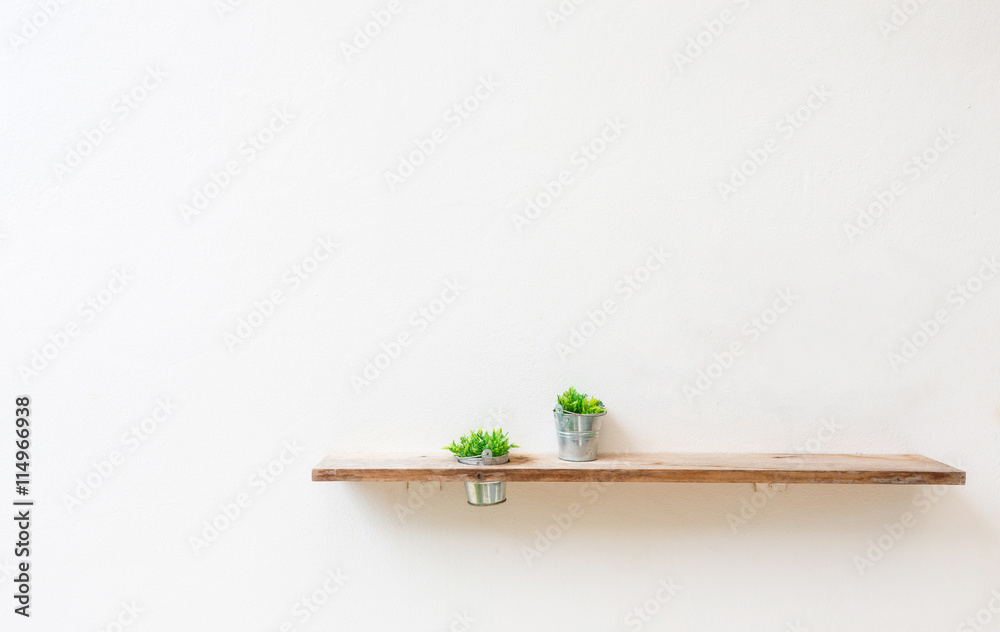 白色墙上的木制架子，上面种着绿色植物。