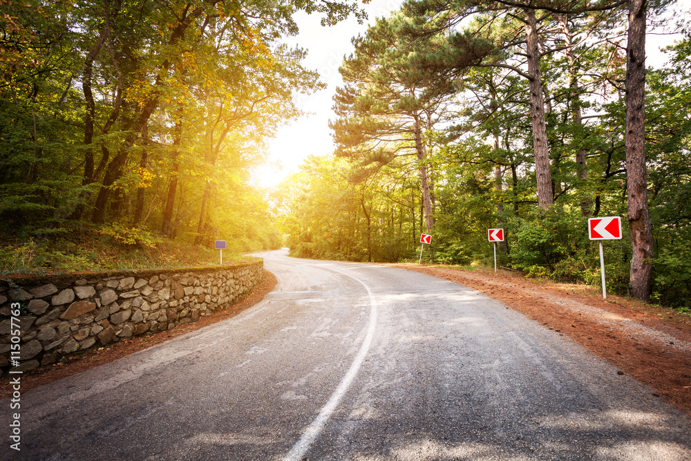 Beautiful landscape with asphalt road,green forest and road sign at colorful sunrise in summer. Crim