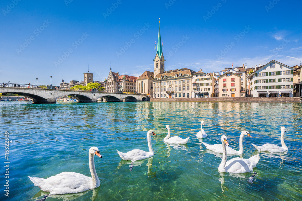 Zürich city center with swans on Limmat river, Switzerland