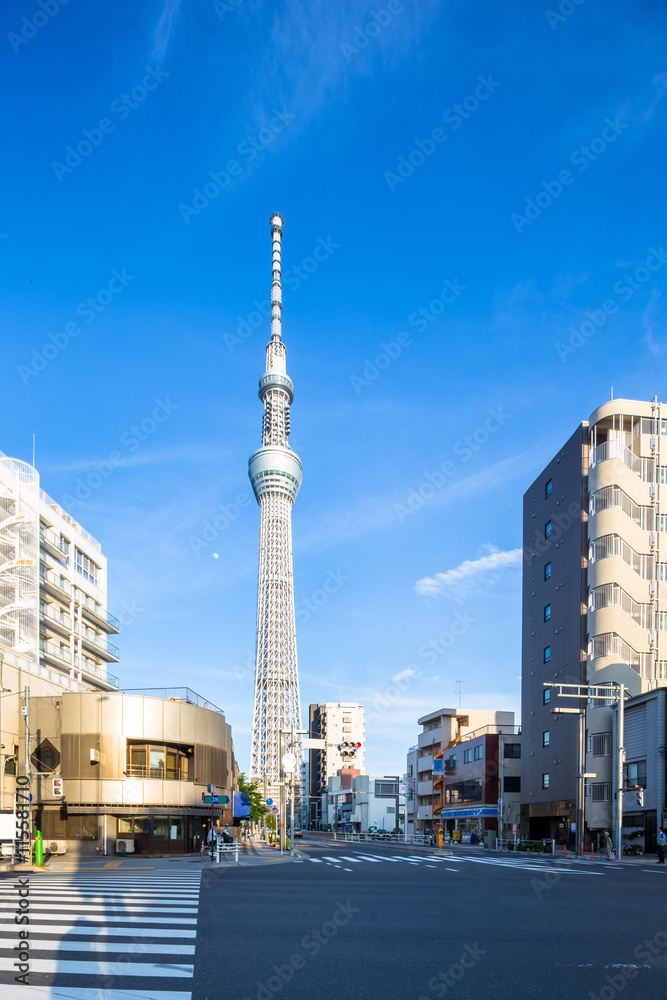 东京塔和东京的现代建筑