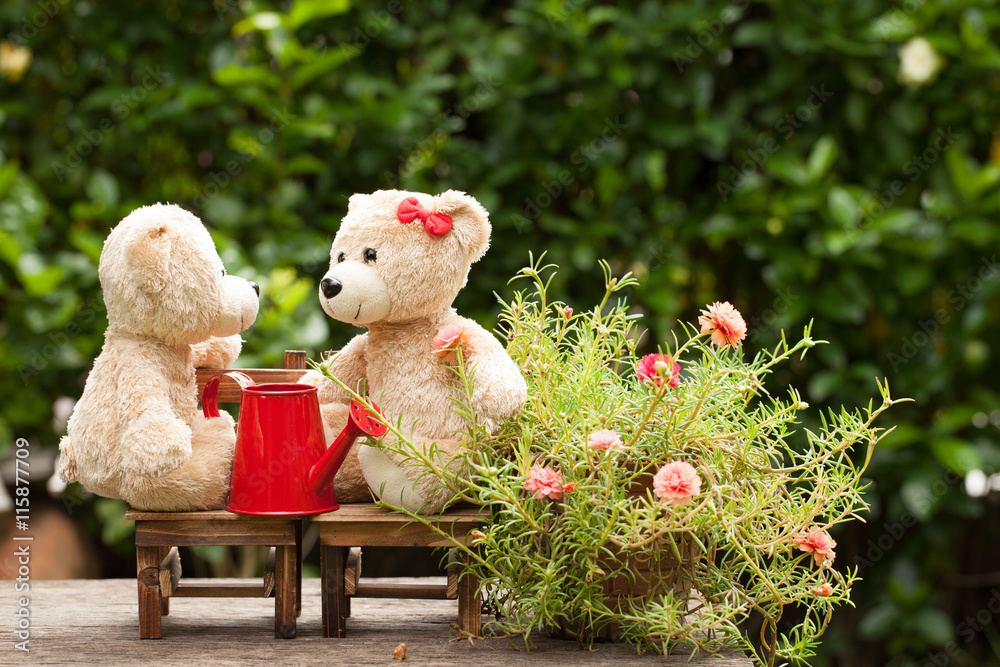 可爱的泰迪熊和爱的花园里的喷壶，conce