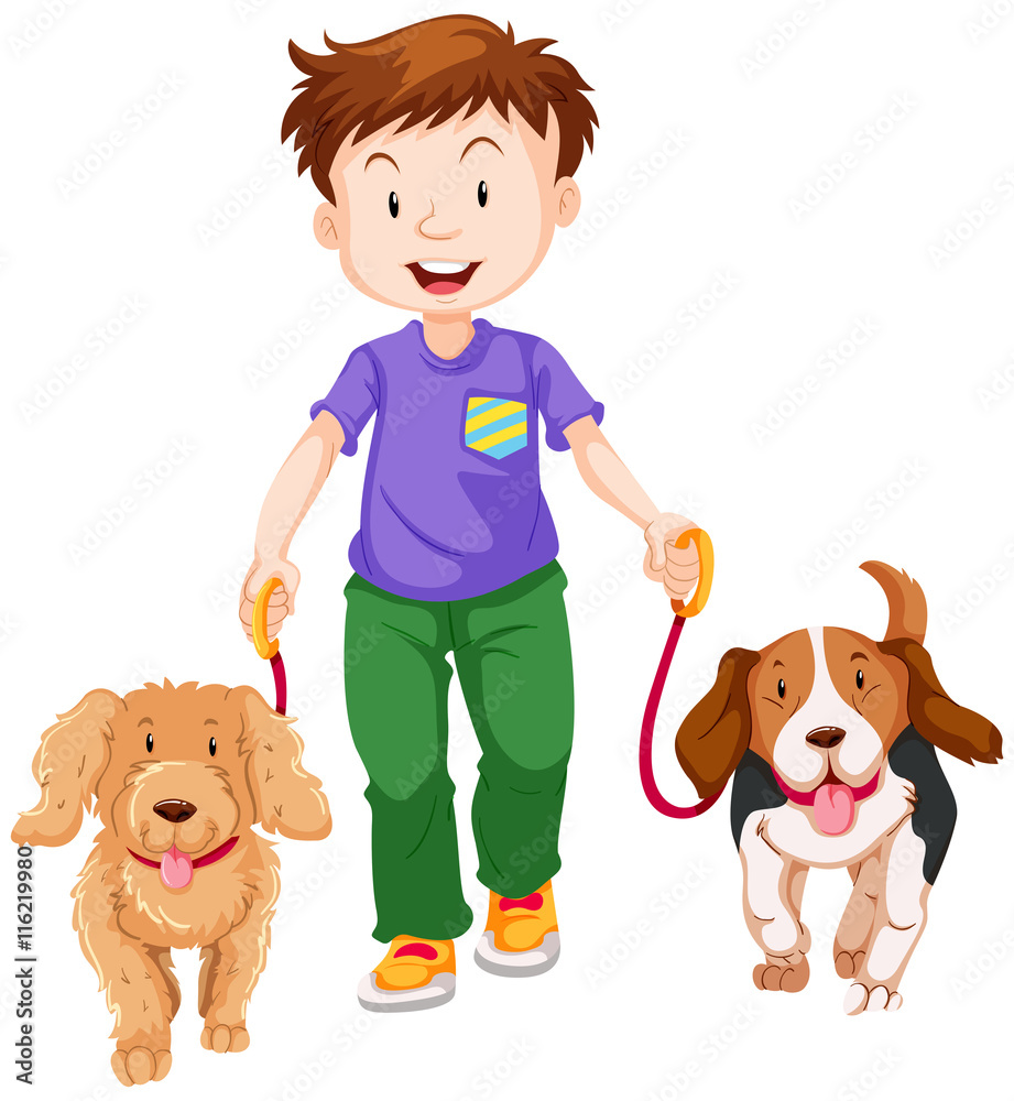 Boy walking two dogs