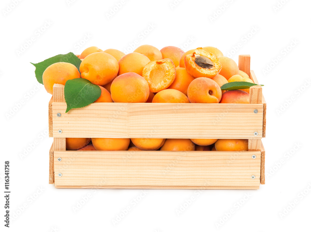 木箱装鲜熟杏子