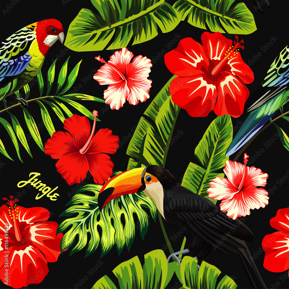 热带鸟类巨嘴鸟和五彩鹦鹉在棕榈香蕉叶的背景下，红白相间的异国情调