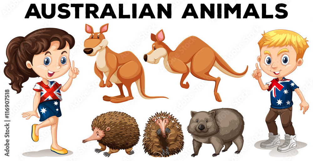澳大利亚野生动物集