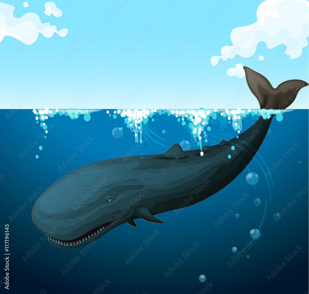 鲸鱼在海底游泳