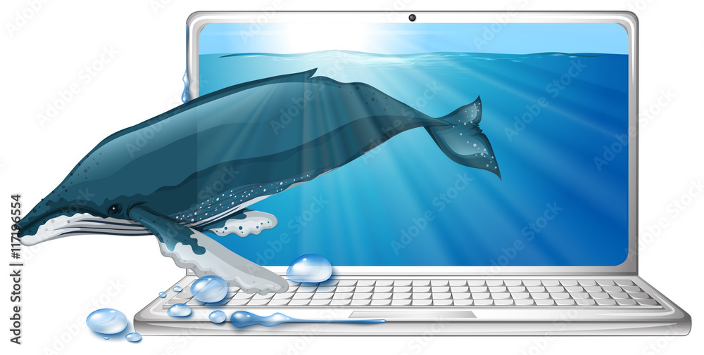 电脑屏幕上的海底鲸鱼