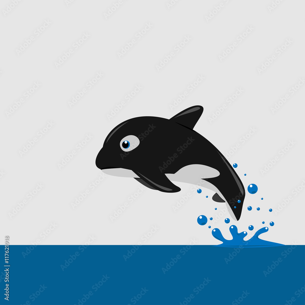The killer whale (Orcinus orca)  Vector illustration.