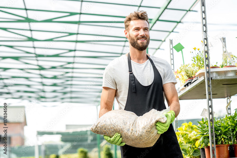 英俊的园丁，带着围裙和工作手套，背着一个装着泥土的袋子，在温室里种植植物