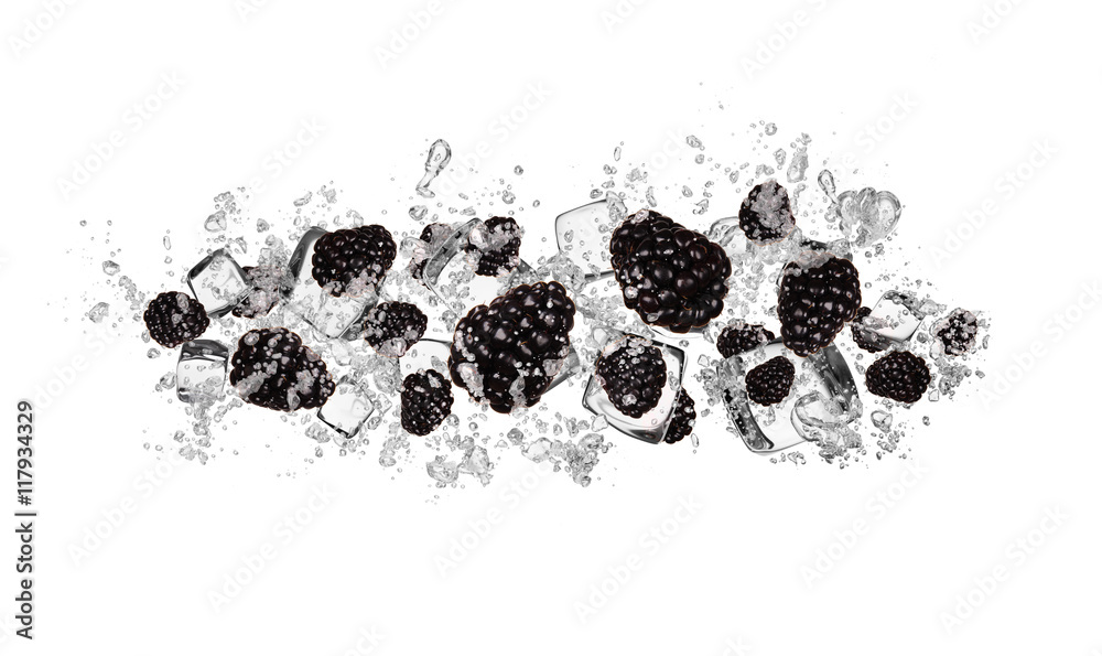 水中的黑莓在白色背景上飞溅