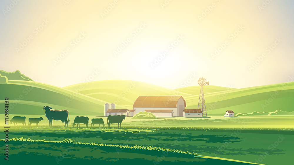 拥有奶牛场和牛群的乡村黎明景观。