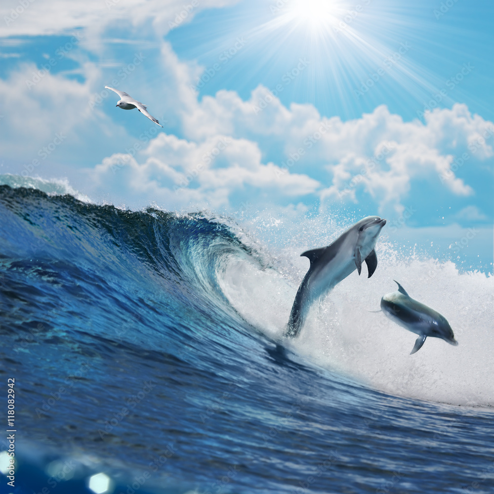 Two happy playful dolphins leaping from ocean breaking surfing wave to foam in front of cloudy seasc