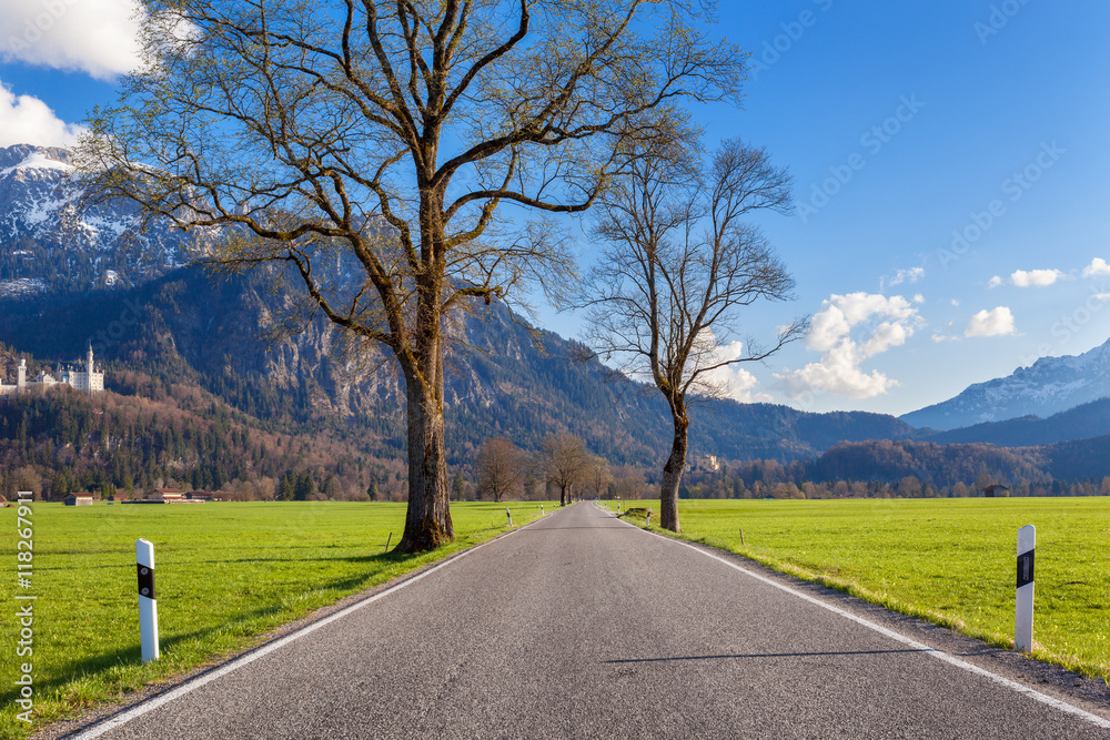 美丽的乡村公路，绿树成荫，山上绿草如茵