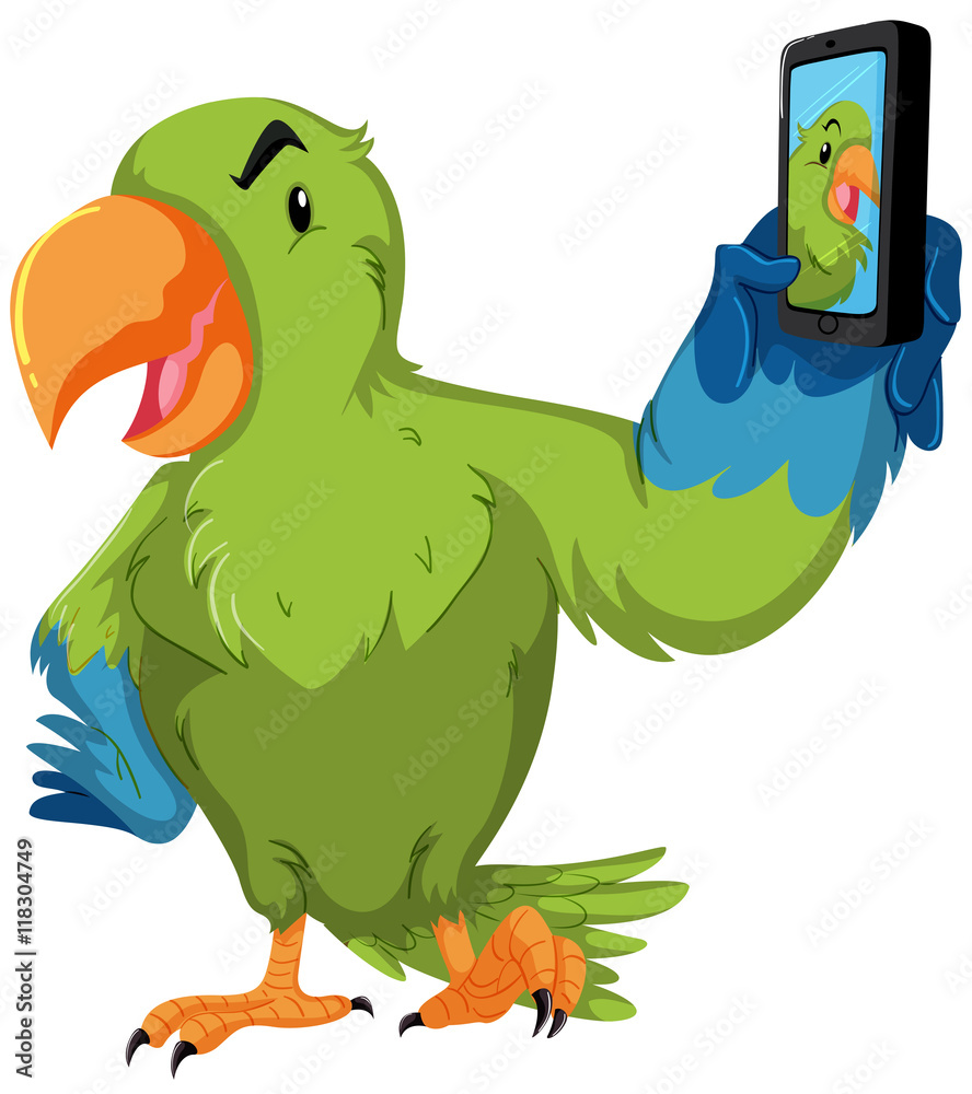 绿色鹦鹉用手机自拍