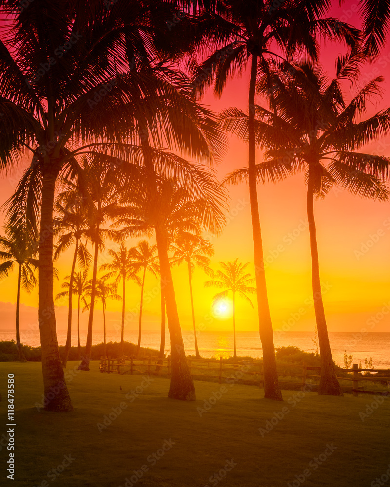 金色的天空与棕榈树热带日落，炎热浪漫的暑假
