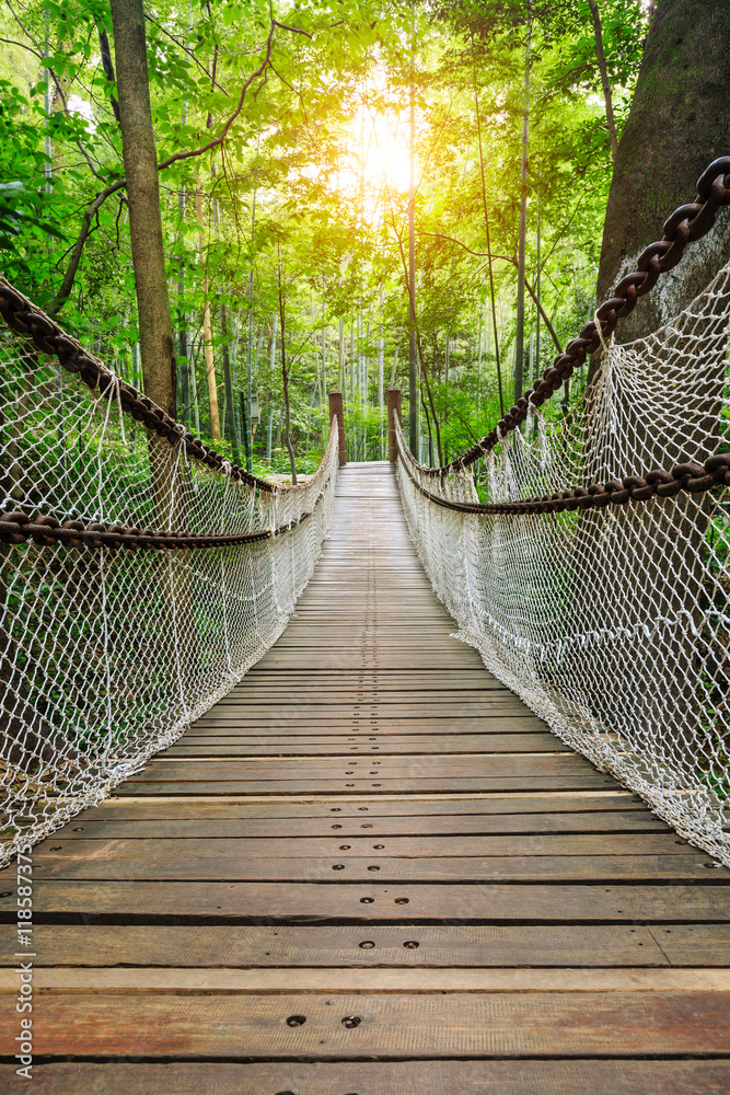 宁静森林中的悬索桥
