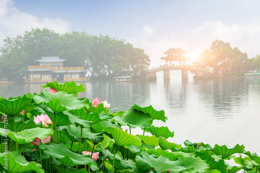 Hangzhou West Lake lotus bloom in the summer,China