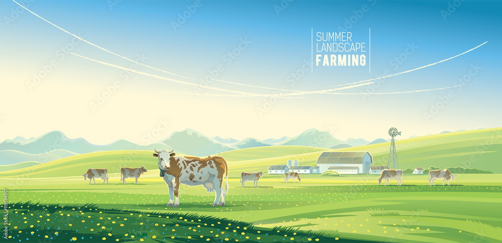 以奶牛为背景的乡村景观和以山景为背景的农场。
