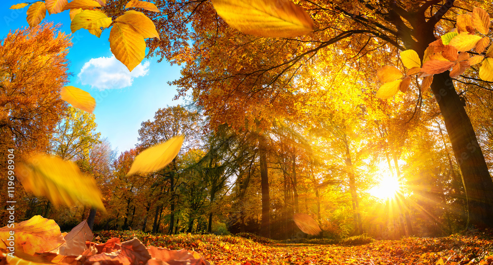 Goldener Herbst in einem Park, mit fallenden Blättern und blauem Himmel