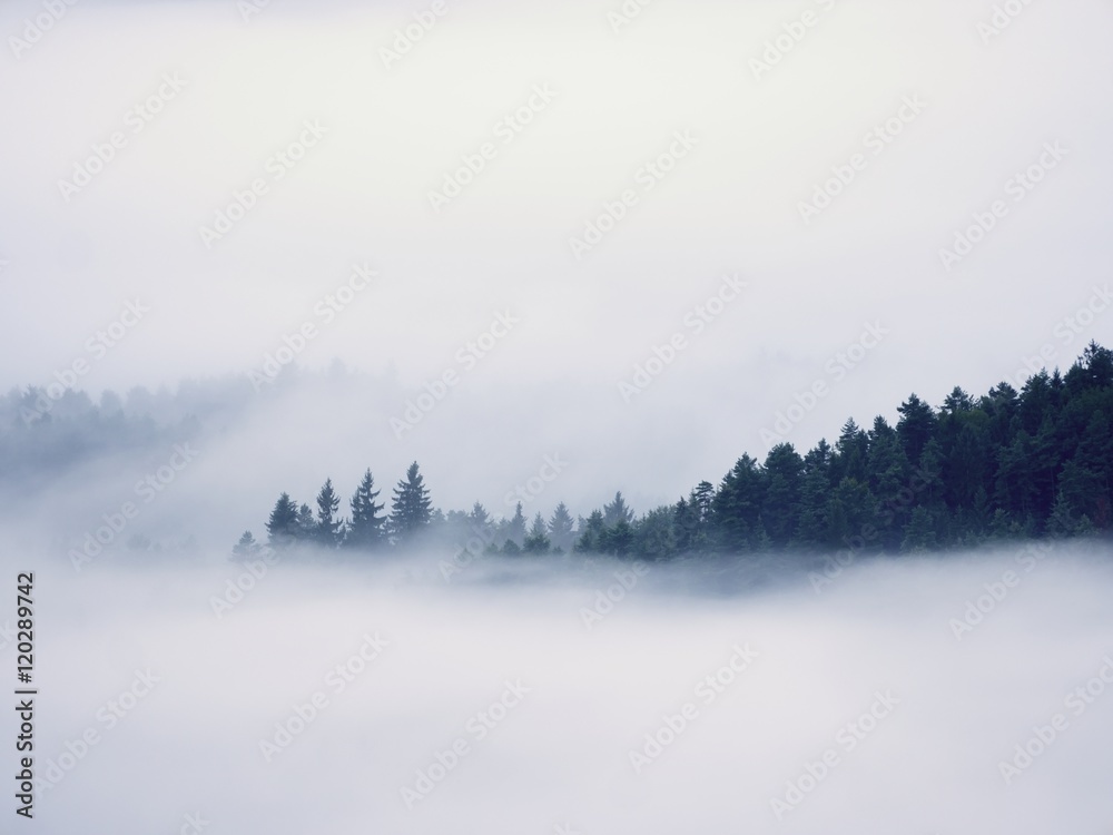 壮丽的薄雾笼罩着风景。秋天的奶油雾笼罩着乡村。山丘因雾而增加，