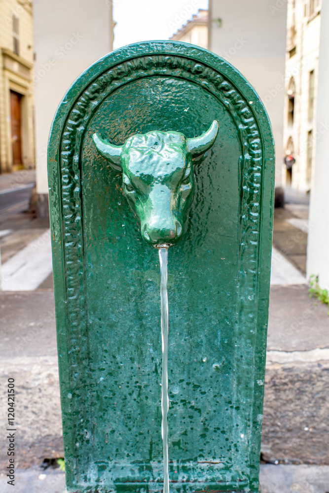 意大利都灵市牛头小喷泉