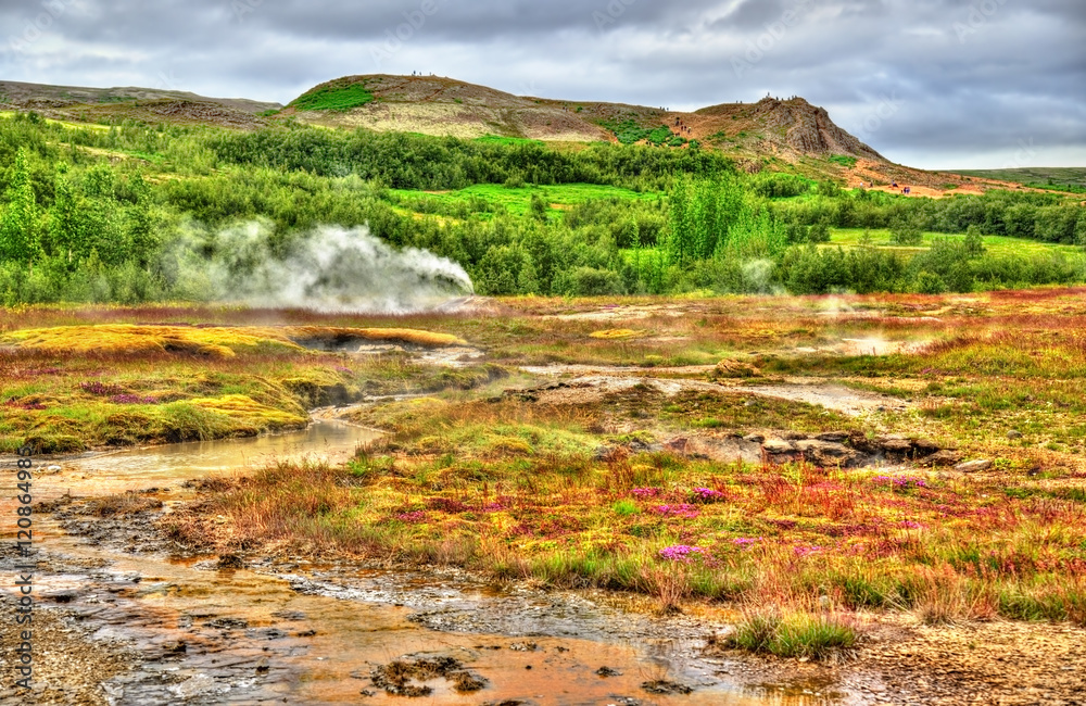 Geothermally active Haukadalur Valley in Iceland