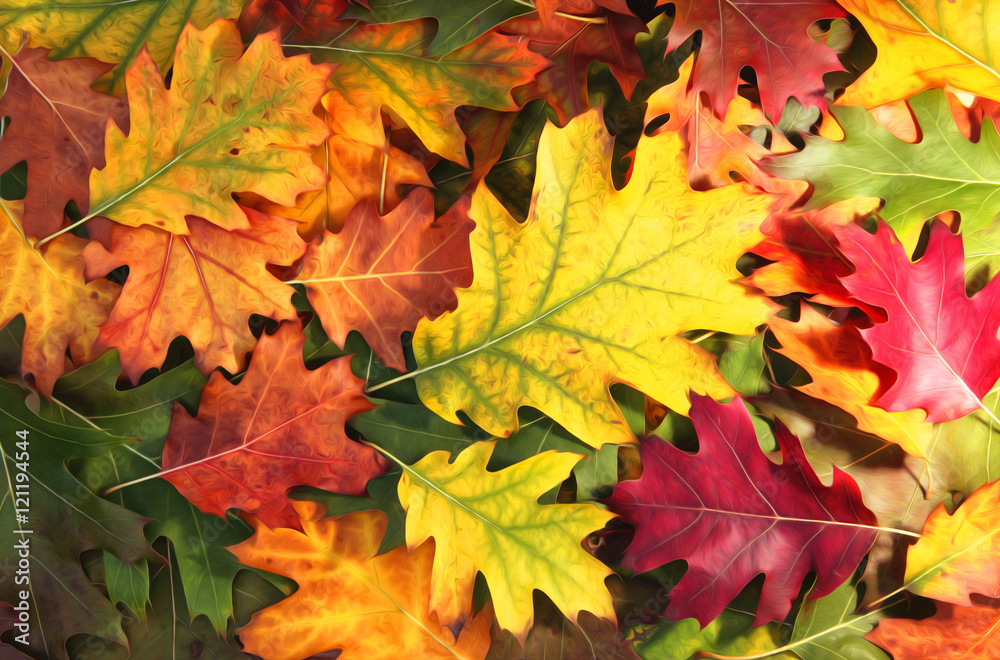 艺术色彩丰富的橡木秋季树叶背景。