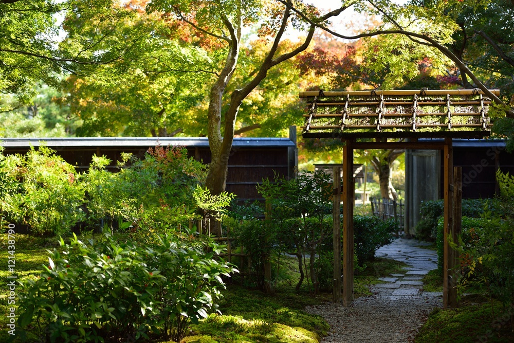 初秋の日本庭園と門