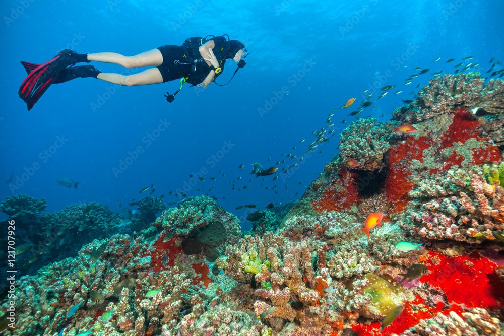 年轻女子水肺潜水员探索海底
