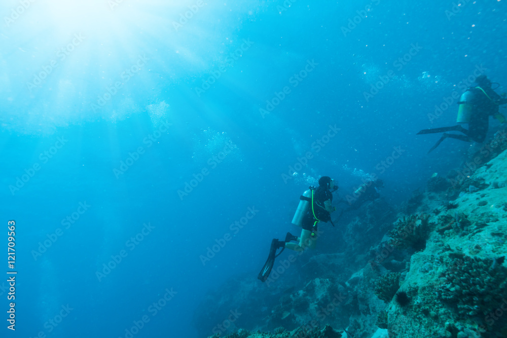 一群水肺潜水员探索海底