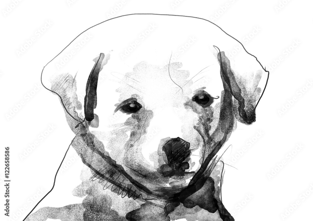 小狗水彩素描黑白插图