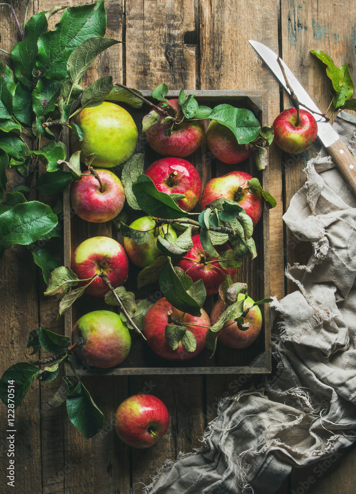 季节性花园收获带绿色叶子的大苹果，放在乡村木背上的木托盘里