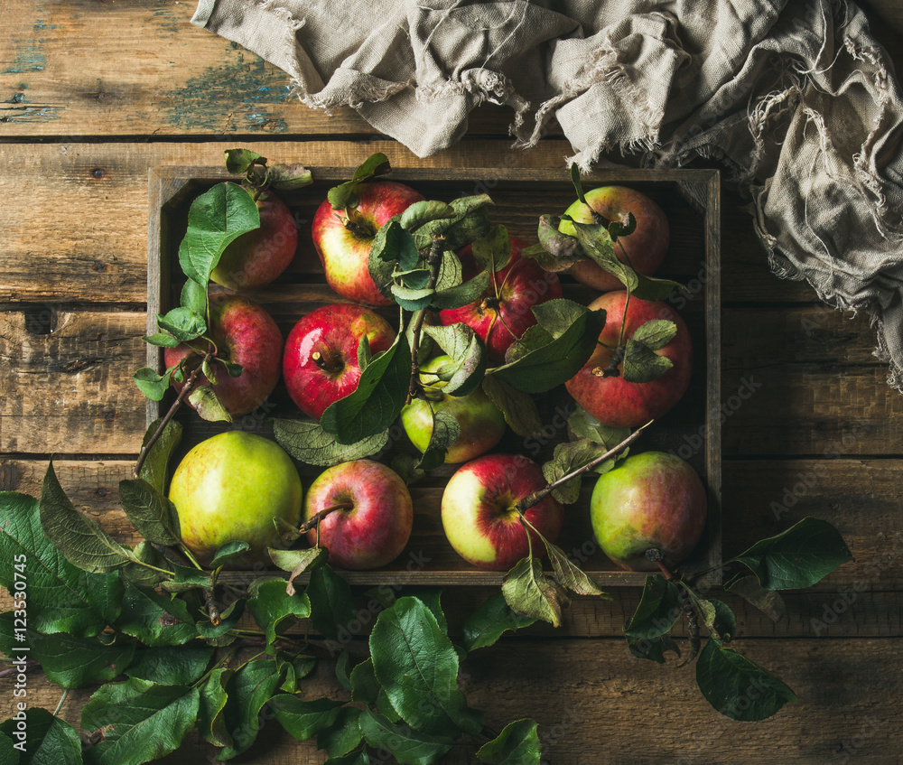 季节性花园收获带绿叶的大苹果，放在乡村木背上的木托盘里