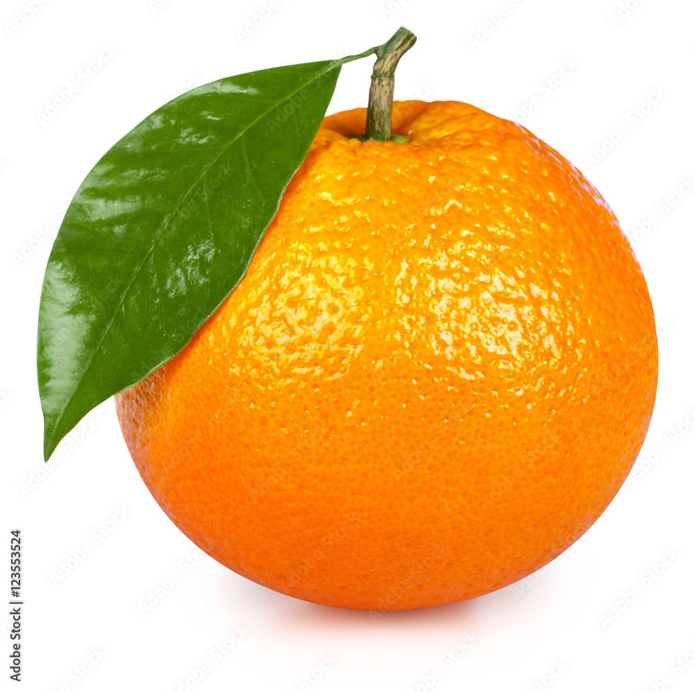 橙色隔离在白色上