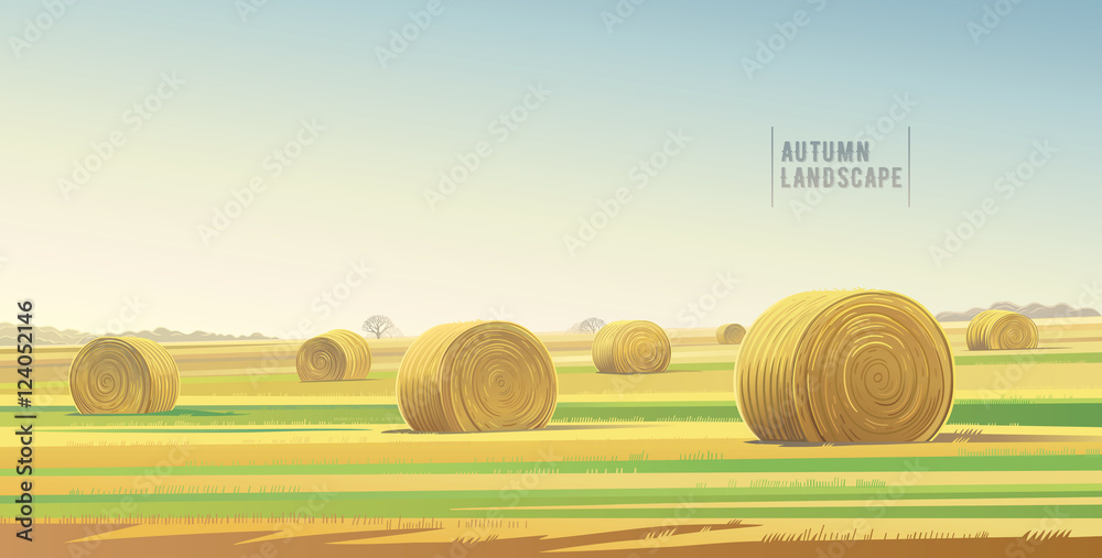 农田和成捆干草的秋季乡村景观。矢量图。