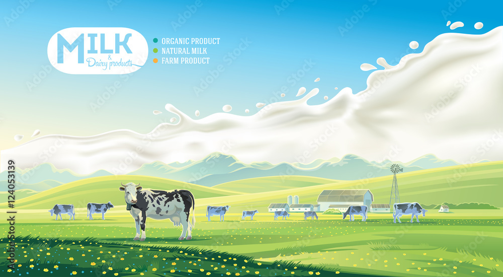 有奶牛的乡村景观和有山景的农场，背景是飞溅的牛奶。Vector illu
