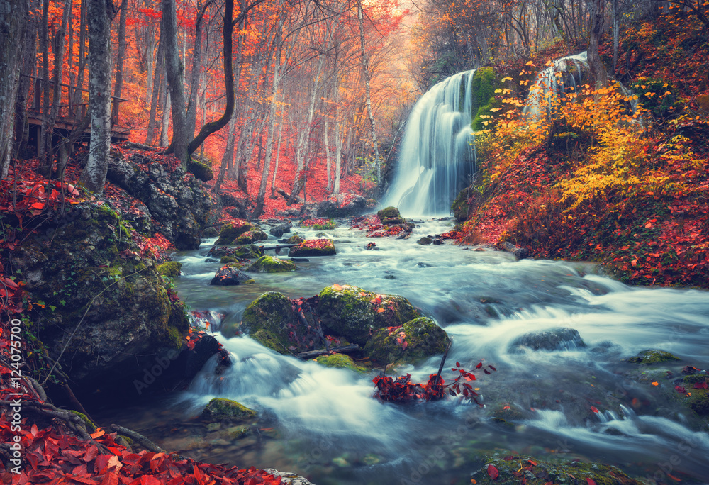 日落时，山河上有瀑布的秋林。树木、石头、水的多彩景观