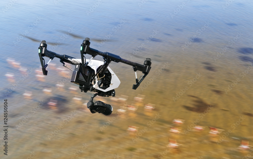 无人机与鸟类一起在沼泽上空飞行
