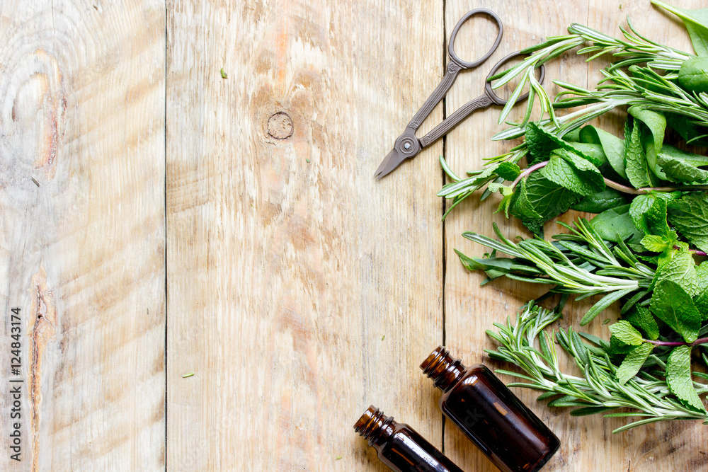 spicy fresh herbs on the wooden background