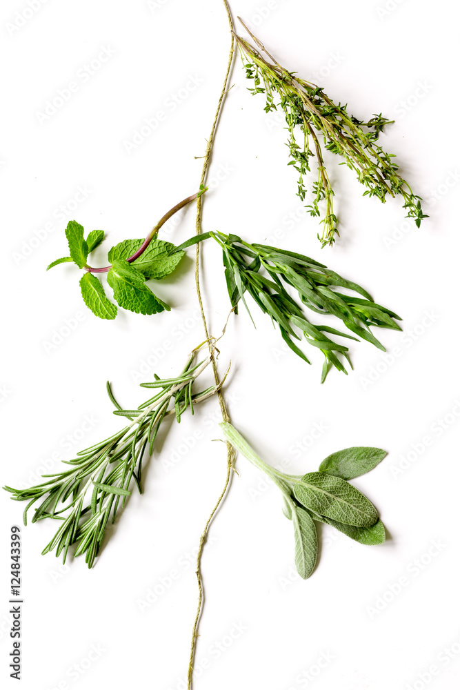 薄荷、鼠尾草、迷迭香、百里香——白色背景的草本植物簇