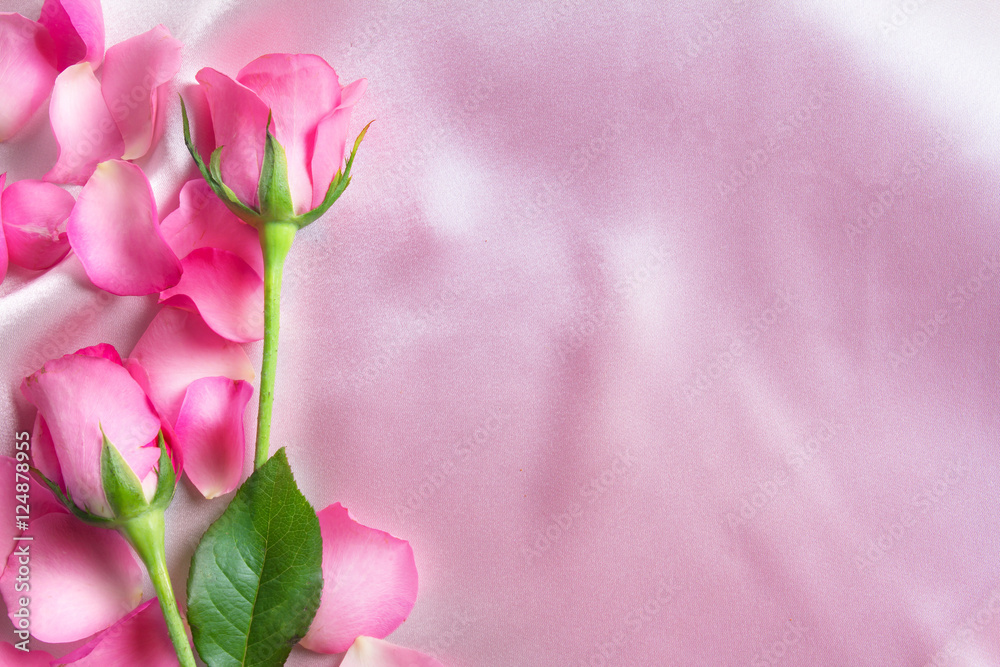 一束甜美的粉红色玫瑰花瓣，柔软的粉红色丝绸面料，浪漫和爱情卡片的概念
