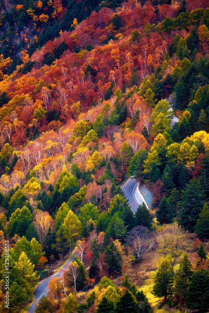 日本长野高村山上美丽的秋景。