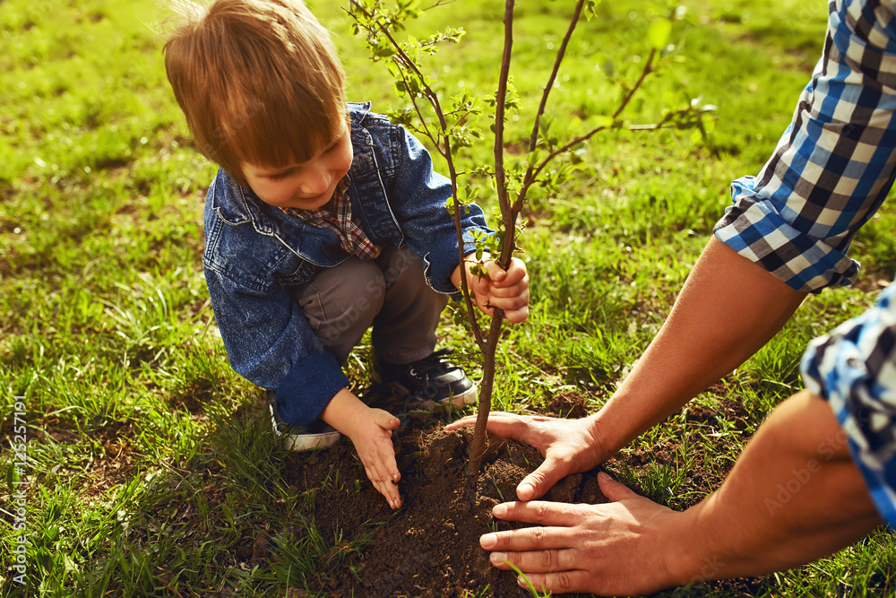 小男孩在花园里一起工作时帮助父亲种树。星期天。smilin
